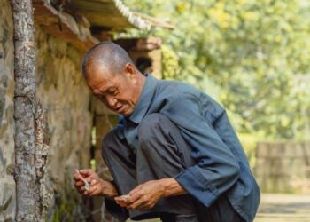 The Gardener’s Epiphany: Cultivating Brain Resilience with Inositol in Bipolar Disorder