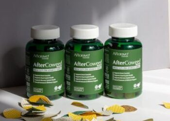 The Centrality of the B-Vitamin Complex in Human Energy Metabolism: From Biochemical Pathways to Clinical Practice