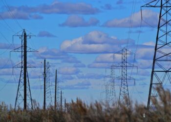 The Supply Line: A Maternal-Fetal Specialist’s Journey to Understanding L-Arginine and Transforming High-Risk Pregnancy Care