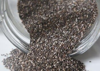 Beyond the Fish Oil Myth: A Medical Researcher’s Guide to Finding an Omega-3 That Actually Works for Dry Eyes