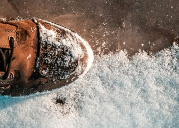 The Salt of Life: A Journey into the Delicate Dance of Sodium and Kidney Health