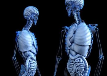 The Inner Garden: A Parent’s Journey Through the Tangled Roots of Childhood Gut Health to Find the Right Prebiotic