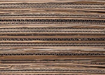 The Probiotic Paradox: Why 99% of Probiotics Are a Waste of Money and The One Thing That Guarantees They Work