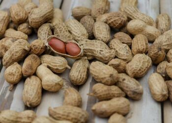 The Definitive Guide to Protein at Costco: A Scientific and Consumer-Driven Analysis