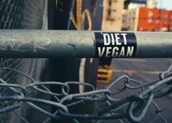 The Salty Saboteur: How My “Healthy” Vegan Protein Powder Was Secretly Harming Me