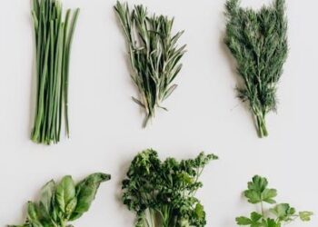 Beyond the Salt Shaker: How I Learned to Compose Flavor and Master Low-Sodium Vegan Cooking