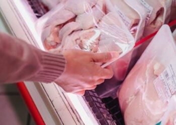 The Low-Carb Protein Powder Market: A Comprehensive Analysis of Consumer Realities, Health Risks, and Strategic Opportunities