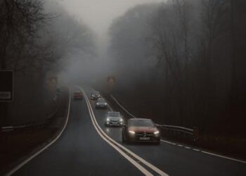 The Ghost Pump and the Empty Promise: My Journey to Find a Nitric Oxide Supplement That Actually Works