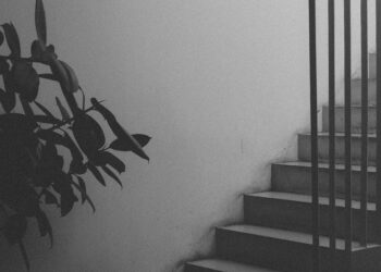 The Symphony of Desire: A Root-Cause Approach to Reclaiming Libido Through Hormonal Harmony