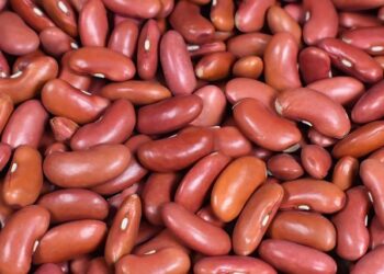 The Phosphorus Detective: A New Paradigm for a Healthier Kidney Diet