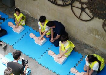 The Gold Standard: A Comprehensive Clinical and Consumer Guide to NSF Certified for Sport® Protein Powders