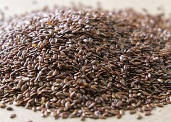 Beyond the Candy Aisle: A Practitioner’s Guide to Finding Omega-3 Gummies That Actually Work