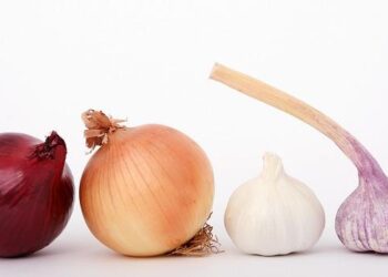 Beyond the Salt Shaker: How I Escaped the Prison of Bland Food and Discovered the Symphony of Flavor for a Low-Sodium, Diabetic Life