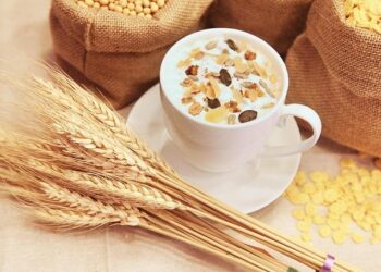 A Clinical and Nutritional Analysis of High-Fiber Cereals for the Management of Functional Constipation