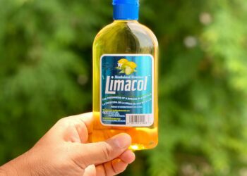 Beyond the Bottle: My Journey Through the Salty, Confusing World of Umami and How I Finally Found Flavor Clarity