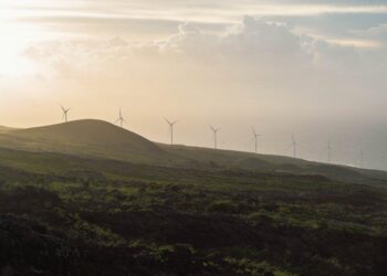 From Fog to Focus: My Journey Through the Labyrinth of B12 Deficiency and the Liquid Solution That Changed Everything