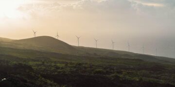 From Fog to Focus: My Journey Through the Labyrinth of B12 Deficiency and the Liquid Solution That Changed Everything