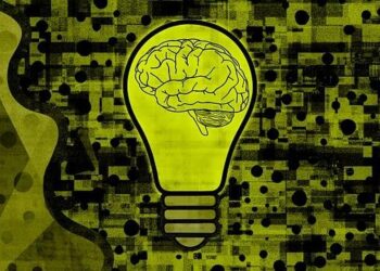 The B6 Mistake That Cost Me My Nerves: Why a “Healthy” Vitamin Can Be a Trap, and the Soil-Based Secret to Using It Right