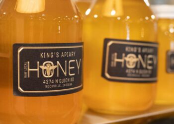 Beyond the Spoon: Why the Best Honey for Testosterone Isn’t What You Think