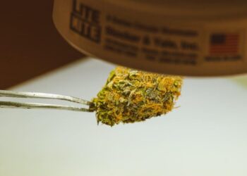 The Horny Goat Weed Report: A Supplement Analyst’s Guide to Separating High-Grade Herb from Low-Grade Hype