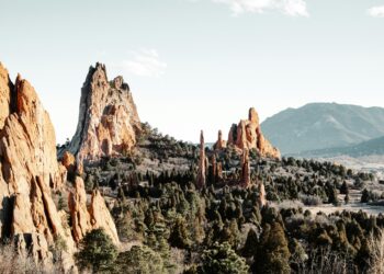 The Wilting Garden Within: My Journey from Iron-Deficient Despair to Liquid Vitality