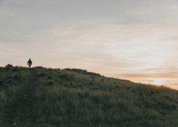 My Body’s False Alarms: A Journey Through the Noise of Chronic Inflammation and the Code to a Quieter Life