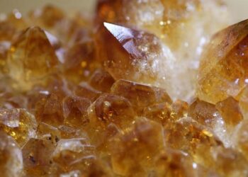 The Cellular Gatekeeper: My Journey Beyond the Pill to Unlock the True Power of Liquid Minerals