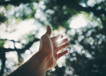 The Niacin Protocol: How I Rewired My Body’s Energy Grid and Unlocked a New Level of Vitality