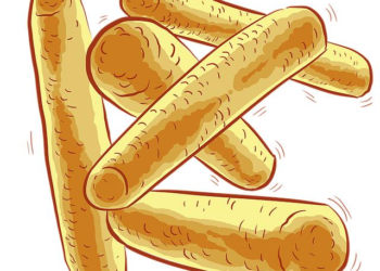 Rewilding Your Gut: Why Probiotic Pills Fail and a New Food-First Approach to Lasting Health