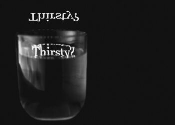 The Vital Factory: Re-engineering Our Understanding of Liver Filtration