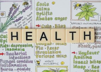 Beyond the Detox: How I Healed My Fatty Liver by Thinking Like an Engineer, Not a Plumber