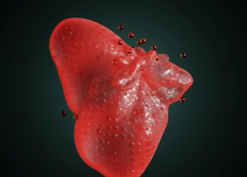 Beyond the Cleanse: I Spent 15 Years Chasing Liver Health. Here’s the Truth I Uncovered.