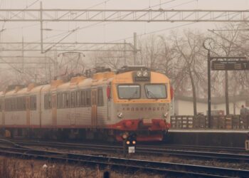 The Conductor and the Cacophony: How I Ended My Brain Fog by Retuning My Cells with Omega-3s