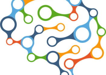 Beyond the Little Blue Pill: My Journey Through the ED Supplement Maze and the Systems-Thinking Framework That Finally Worked