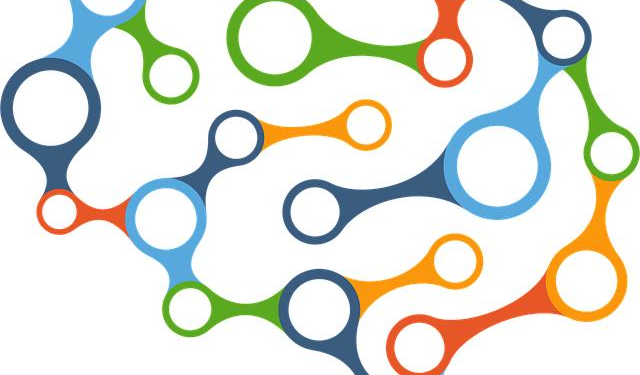 Beyond the Little Blue Pill: My Journey Through the ED Supplement Maze and the Systems-Thinking Framework That Finally Worked