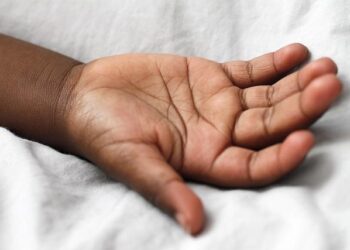 Beyond the Emulsion: How I Learned to Stop Fighting the Skin and Build a “Second Skin” with Lecithin