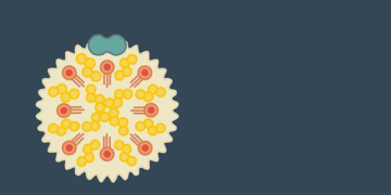 The Statin-Niacin Combination for Cholesterol: A Narrative of Promise, Disappointment, and Scientific Discovery